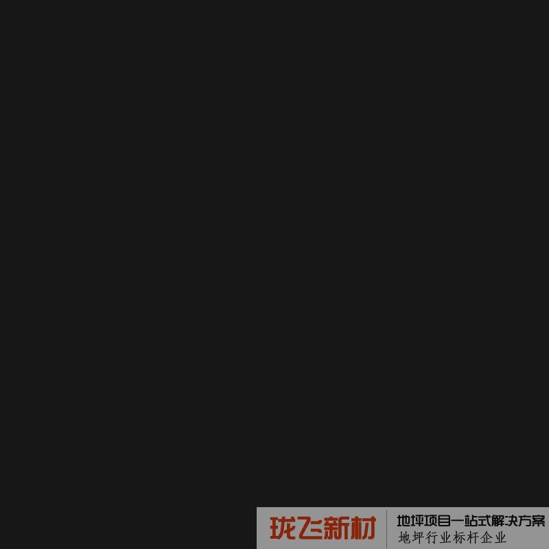 黑色20L 油性渗透型 黑色20L 油性渗透型