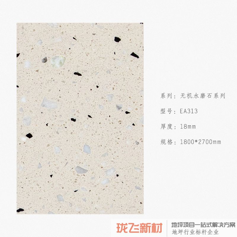 EA313 EA313